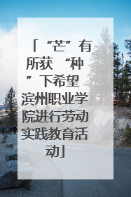“芒”有所获 “种”下希望 滨州职业学院进行劳动实践教育活动