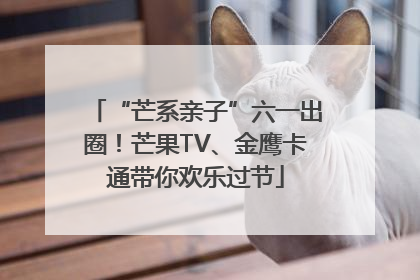 “芒系亲子”六一出圈！芒果TV、金鹰卡通带你欢乐过节