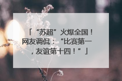 “苏超”火爆全国！网友调侃：“比赛第一，友谊第十四！”
