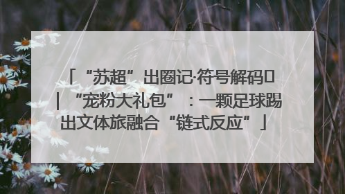 “苏超”出圈记·符号解码㉛｜“宠粉大礼包”：一颗足球踢出文体旅融合“链式反应”