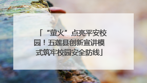 “萤火”点亮平安校园！五莲县创新宣讲模式筑牢校园安全防线