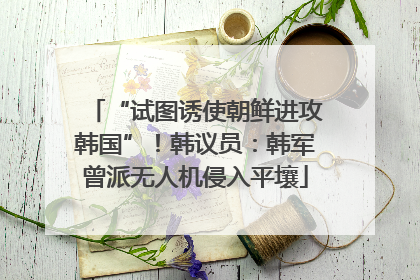 “试图诱使朝鲜进攻韩国”！韩议员：韩军曾派无人机侵入平壤