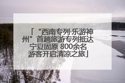 “西南专列·乐游神州”首趟旅游专列抵达宁夏固原 800余名游客开启清凉之旅