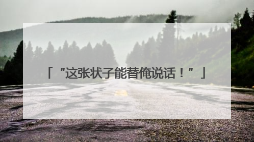 “这张状子能替俺说话！”