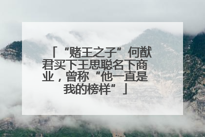 “赌王之子”何猷君买下王思聪名下商业，曾称“他一直是我的榜样”