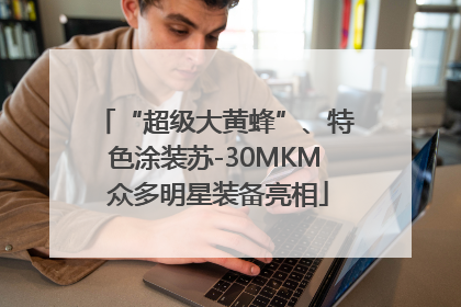 “超级大黄蜂”、特色涂装苏-30MKM 众多明星装备亮相