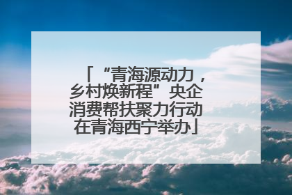 “青海源动力，乡村焕新程”央企消费帮扶聚力行动在青海西宁举办
