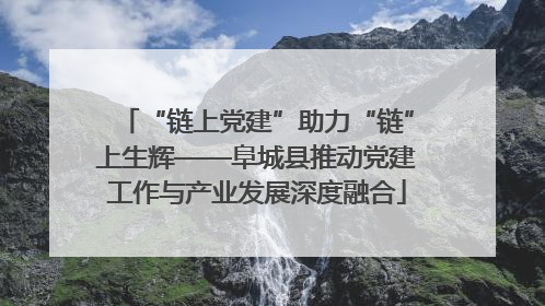 “链上党建”助力“链”上生辉——阜城县推动党建工作与产业发展深度融合