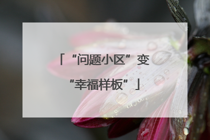 “问题小区”变“幸福样板”