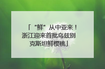 “鲜”从中亚来！浙江迎来首批乌兹别克斯坦鲜樱桃
