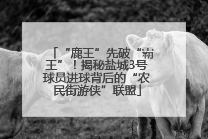 “鹿王”先破“霸王”！揭秘盐城3号球员进球背后的“农民街游侠”联盟