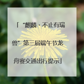 “麒麟・不止有瑞兽”第三届端午节龙舟赛交通出行提示