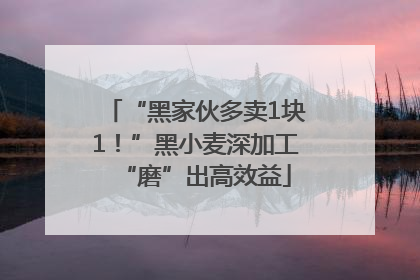 “黑家伙多卖1块1！”黑小麦深加工“磨”出高效益