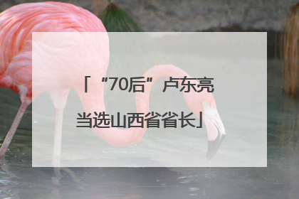 “70后”卢东亮当选山西省省长