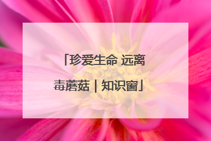 珍爱生命 远离毒蘑菇｜知识窗