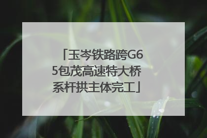 玉岑铁路跨G65包茂高速特大桥系杆拱主体完工