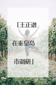 王正谱在秦皇岛市调研