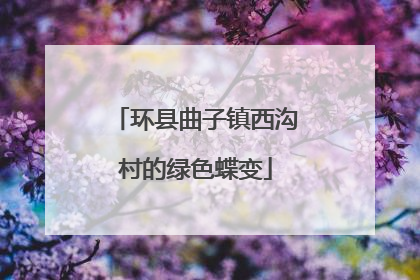 环县曲子镇西沟村的绿色蝶变