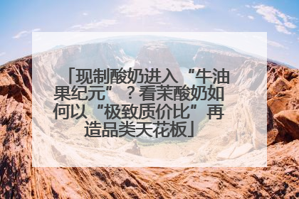 现制酸奶进入“牛油果纪元”？看茉酸奶如何以“极致质价比”再造品类天花板
