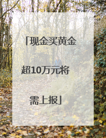 现金买黄金超10万元将需上报