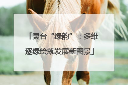 灵台“绿韵”：多维逐绿绘就发展新图景