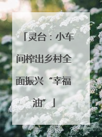 灵台：小车间榨出乡村全面振兴“幸福油”