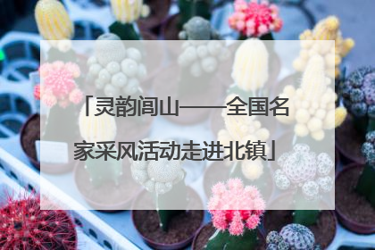 灵韵闾山——全国名家采风活动走进北镇