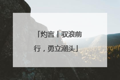 灼言丨驭浪前行，勇立潮头
