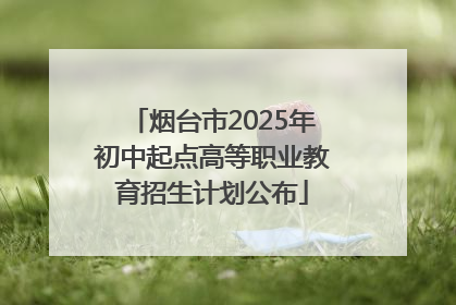 烟台市2025年初中起点高等职业教育招生计划公布