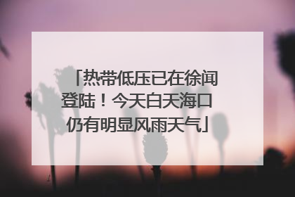 热带低压已在徐闻登陆！今天白天海口仍有明显风雨天气