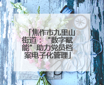 焦作市九里山街道：“数字赋能”助力党员档案电子化管理