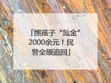 熊孩子“氪金”2000余元！民警全额追回