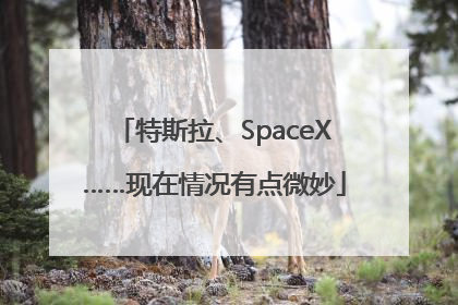 特斯拉、SpaceX……现在情况有点微妙