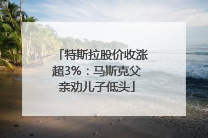 特斯拉股价收涨超3%：马斯克父亲劝儿子低头