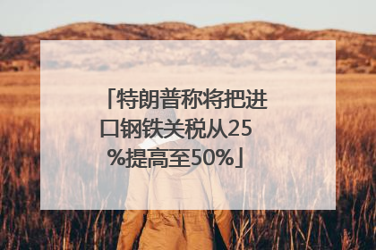 特朗普称将把进口钢铁关税从25%提高至50%