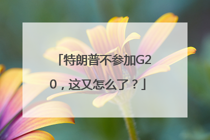 特朗普不参加G20，这又怎么了？