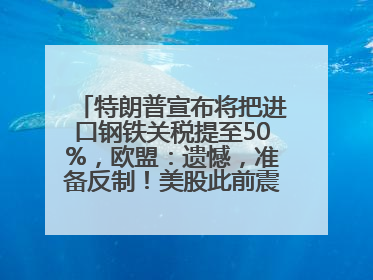 特朗普宣布将把进口钢铁关税提至50%，欧盟：遗憾，准备反制！美股此前震荡，机构：美元正进入熊市