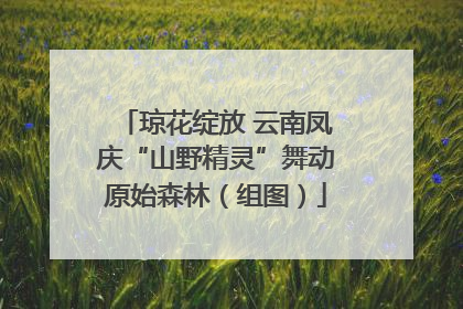 琼花绽放 云南凤庆“山野精灵”舞动原始森林（组图）