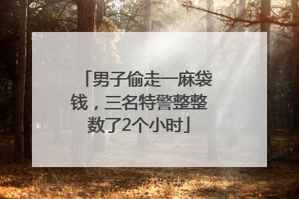 男子偷走一麻袋钱，三名特警整整数了2个小时