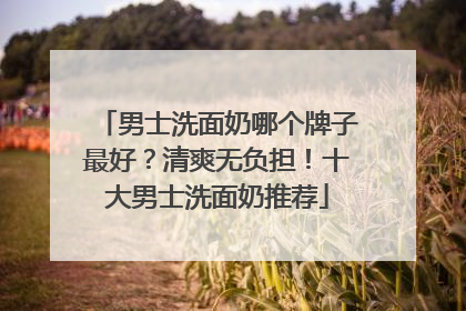 男士洗面奶哪个牌子最好？清爽无负担！十大男士洗面奶推荐