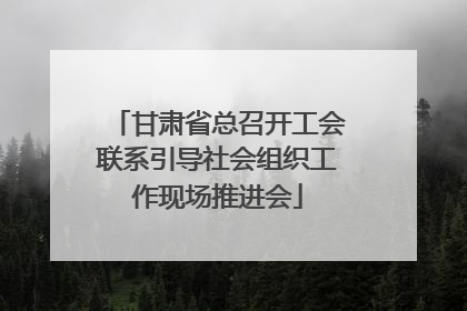 甘肃省总召开工会联系引导社会组织工作现场推进会