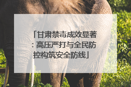 甘肃禁毒成效显著：高压严打与全民防控构筑安全防线