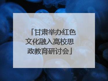 甘肃举办红色文化融入高校思政教育研讨会