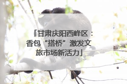 甘肃庆阳西峰区：香包“搭桥”激发文旅市场新活力