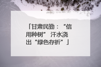 甘肃民勤：“信用种树” 汗水浇出“绿色存折”