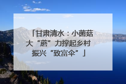 甘肃清水：小菌菇大“蘑”力撑起乡村振兴“致富伞”
