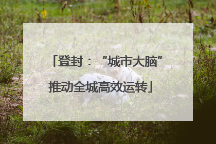 登封：“城市大脑”推动全城高效运转