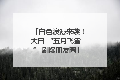 白色浪漫来袭！大田 “五月飞雪” 刷爆朋友圈