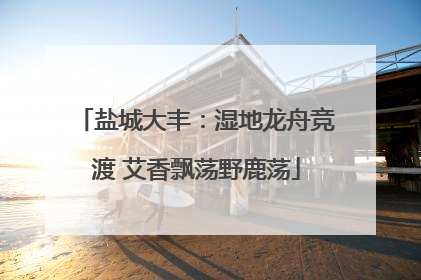 盐城大丰：湿地龙舟竞渡 艾香飘荡野鹿荡