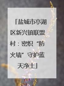 盐城市亭湖区新兴镇联盟村：密织“防火墙”守护蓝天净土
